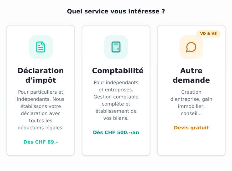 Point de départ : choisissez « Déclaration d’impôt ».